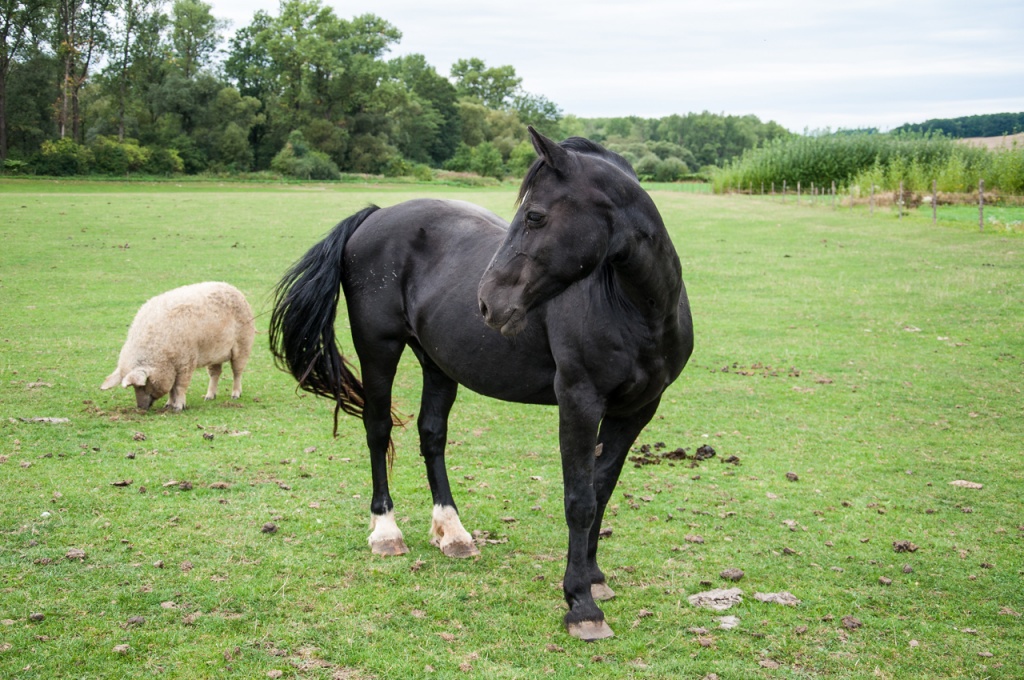 Vyrazili jsme na ekofarmu