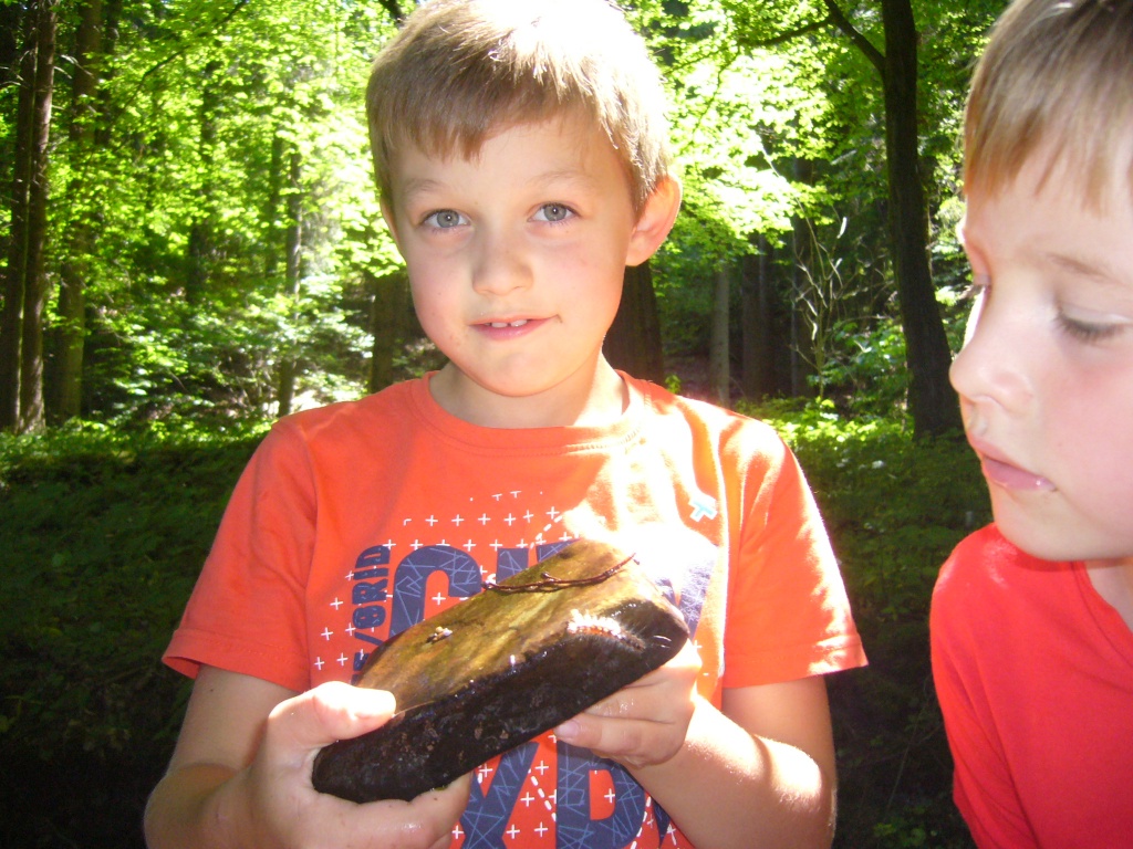 Na Are bylo zase bezva