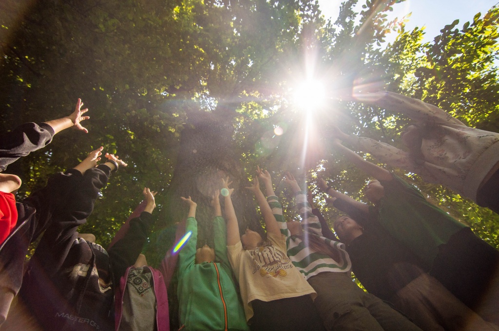 Pod dubem, za dubem...